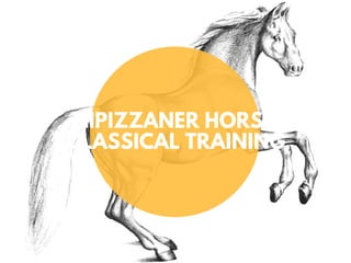 LIPIZZANER HORSE
CLASSICAL TRAINING
 