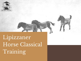Lipizzaner
Horse Classical
Training
 