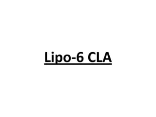 Lipo-6 CLA

 