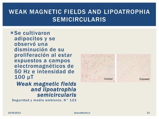 Se cultivaron
adipocitos y se
observó una
disminución de su
proliferación al estar
expuestos a campos
electromagnéticos de
50 Hz e intensidad de
100 μT
Weak magnetic fields
and lipoatrophia
semicircularis
Seguridad y medio ambiente, N° 123
WEAK MAGNETIC FIELDS AND LIPOATROPHIA
SEMICIRCULARIS
jhauva@achs.cl22-05-2013 12
 