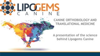 By Lipocast Biotech UK Ltd
CANINE ORTHOBIOLOGY AND
TRANSLATIONAL MEDICINE
A presentation of the science
behind Lipogems Canine
 