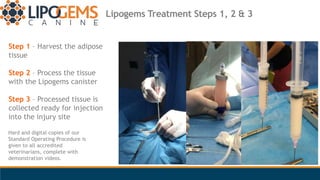 Lipogems Treatment Steps 1, 2 & 3
Step 1 – Harvest the adipose
tissue
Step 2 – Process the tissue
with the Lipogems canist...