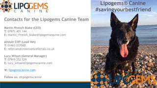 Contacts for the Lipogems Canine Team
Martin ffrench Blake (CEO)
T: 07971 401 144
E: martin_ffrench_blake@lipogemsequine.c...