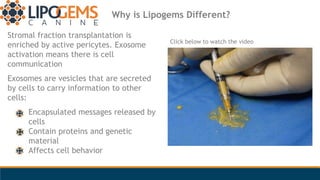 Why is Lipogems Different?
Stromal fraction transplantation is
enriched by active pericytes. Exosome
activation means ther...