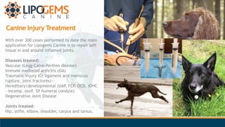 Canine Injury Treatment
With over 300 cases performed to date the main
application for Lipogems Canine is to repair soft
t...