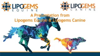 A Presentation from
Lipogems Equine & Lipogems Canine
 