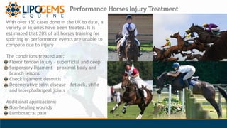 Performance Horses Injury Treatment
With over 150 cases done in the UK to date, a
variety of injuries have been treated. I...