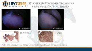 17. CASE REPORT LV-HORSE-TRAUMA-15-3
Racing Horse (COLDPLAY) Synovitis
Note – this procedure was not performed by Lipocast...