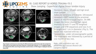 18. CASE REPORT LV-HORSE-TRAUMA-15-2
Show Jumping - Superficial digital flexor tendon injury
Hannover, mare, 10-year-old h...