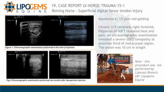 19. CASE REPORT LV-HORSE-TRAUMA-15-1
Reining Horse - Superficial digital flexor tendon injury
Appaloosa X, 13-year-old gel...