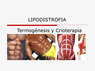 LIPODISTROFIA   Termogénesis y Crioterapia 