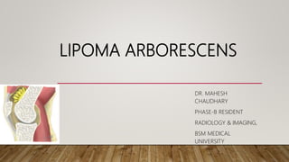 LIPOMA ARBORESCENS
DR. MAHESH
CHAUDHARY
PHASE-B RESIDENT
RADIOLOGY & IMAGING,
BSM MEDICAL
UNIVERSITY
 