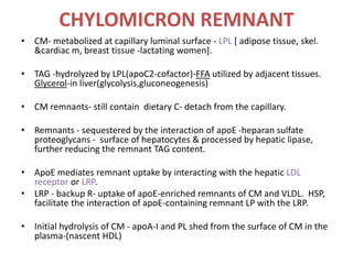 CHYLOMICRON REMNANT
• CM- metabolized at capillary luminal surface - LPL [ adipose tissue, skel.
&cardiac m, breast tissue -lactating women].
• TAG -hydrolyzed by LPL(apoC2-cofactor)-FFA utilized by adjacent tissues.
Glycerol-in liver(glycolysis,gluconeogenesis)
• CM remnants- still contain dietary C- detach from the capillary.
• Remnants - sequestered by the interaction of apoE -heparan sulfate
proteoglycans - surface of hepatocytes & processed by hepatic lipase,
further reducing the remnant TAG content.
• ApoE mediates remnant uptake by interacting with the hepatic LDL
receptor or LRP.
• LRP - backup R- uptake of apoE-enriched remnants of CM and VLDL. HSP,
facilitate the interaction of apoE-containing remnant LP with the LRP.
• Initial hydrolysis of CM - apoA-I and PL shed from the surface of CM in the
plasma-(nascent HDL)
 