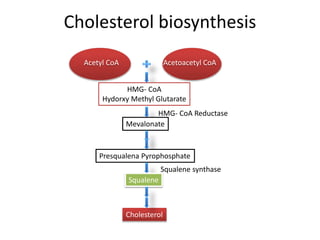 Cholesterol biosynthesis
Acetyl CoA Acetoacetyl CoA
HMG- CoA
Hydorxy Methyl Glutarate
HMG- CoA Reductase
Mevalonate
Presqualena Pyrophosphate
Squalene
Squalene synthase
Cholesterol
 