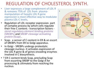 REGULATION OF CHOLESTEROL SYNTH.
• Liver expresses a large complement of LDL R
& removes 75% of LDL from plasma-
manipulation of hepatic LDL R gene
expression is most effective way to modulate
plasma LDL-C levels.
• Regulation of LDL receptor expression- part
of complex process by which cells regulate
their free C content.- transcription factors -
sterol regulatory element binding proteins
(SREBPs) and SREBP cleavage activating
protein (Scap) .
• Scap- a sensor of C content in ER & an escort
of SREBPs from ER to Golgi apparatus.
• In Golgi - SREBPs undergo proteolytic
cleavage-nucleus- it activates expression of
the LDL R gene & of genes encoding enzymes
involved in C biosynthesis.
• ER C content binds Scap, precluding Scap
from escorting SREBP to the Golgi A for
processing & ultimately from reaching the
nucleus.
 