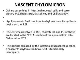 NASCENT CHYLOMICRON
• CM are assembled in intestinal mucosal cells and carry
dietary TAG,cholesterol, fat-sol. vit, and CE [TAGs 90%]
•
• Apolipoprotein B-48 is unique to chylomicrons. Its synthesis
begins on the RER.
• The enzymes involved in TAG, cholesterol, and PL synthesis
are located in the SER. Assembly of the apo and lipid into
CM requires MTP.
• The particle released by the intestinal mucosal cell is called
a “nascent” chylomicron because it is functionally
incomplete.
 