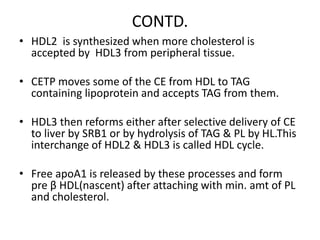 CONTD.
• HDL2 is synthesized when more cholesterol is
accepted by HDL3 from peripheral tissue.
• CETP moves some of the CE from HDL to TAG
containing lipoprotein and accepts TAG from them.
• HDL3 then reforms either after selective delivery of CE
to liver by SRB1 or by hydrolysis of TAG & PL by HL.This
interchange of HDL2 & HDL3 is called HDL cycle.
• Free apoA1 is released by these processes and form
pre β HDL(nascent) after attaching with min. amt of PL
and cholesterol.
 