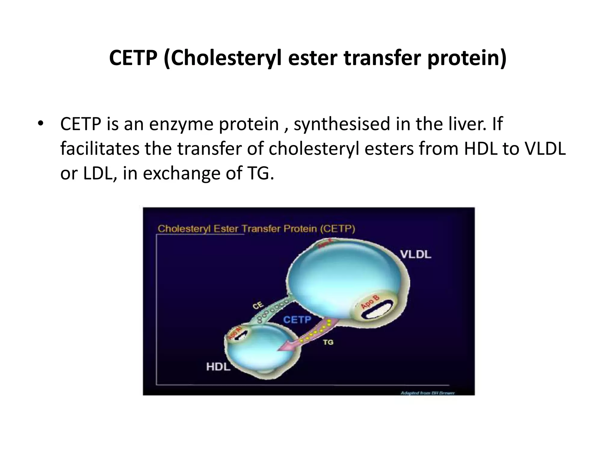 CETP (Cholesteryl ester transfer protein)
• CETP is an enzyme protein , synthesised in the liver. If
facilitates the transfer of cholesteryl esters from HDL to VLDL
or LDL, in exchange of TG.
 