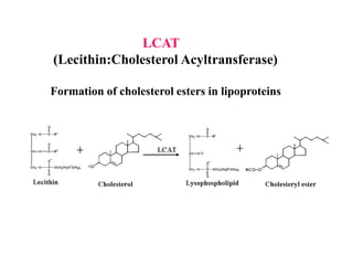 Lipoprotein | PPTX