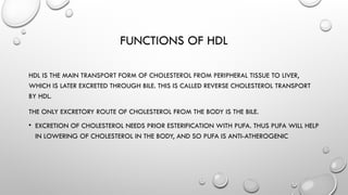 How Hdl Forms Comprehensive Overview of Lipoproteins: Structure, Types, and Functions ...
