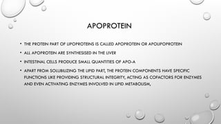 Comprehensive Overview of Lipoproteins: Structure, Types, and Functions ...