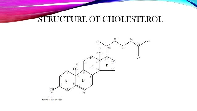 Composition of cholesterol