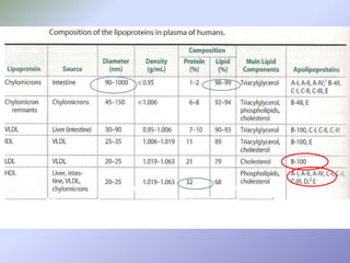 A Síntese dos quilomicronsNo processo digestivo dos lipídos, após hidrolise no lúmen intestinal e absorção ocorre a re-esterificação no interior dos enterócitos.  Posteriormente estes lipídos vão conjugar-se com apolipoproteínas (apo B48 e apo A) dando origem a quilomicrons imaturos. Depois de entrarem na corrente sanguínea, interagem com os HDL dos quais recebem componentes proteicos essenciais ao seu posterior metabolismo (apo C e apo E). Desta maneira formam-se quilomicrons maduros. 