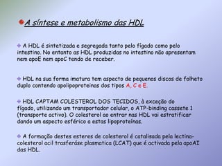 A síntese e metabolismo das HDL A HDL é sintetizada e segregada tanto pelo fígado como pelo intestino. No entanto as HDL produzidas no intestino não apresentam nem apoE nem apoC tendo de receber.HDL na sua forma imatura tem aspecto de pequenos discos de folheto duplo contendo apolipoproteinas dos tipos A, C e E.HDL CAPTAM COLESTEROL DOS TECIDOS, à exceção do fígado, utilizando um transportador celular, o ATP-binding cassete 1 (transporte activo). O colesterol ao entrar nas HDL vai estratificar dando um aspecto esférico a estas lipoproteínas.  A formação destes esteres de colesterol é catalisada pela lectina-colesterol acil trasferáse plasmatica (LCAT) que é activada pela apoAI das HDL. 