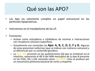 Qué son las APO? <ul><li>Las Apo no solamente cumplen un papel estructural en las partículas lipoproteicas. </li></ul><ul>...