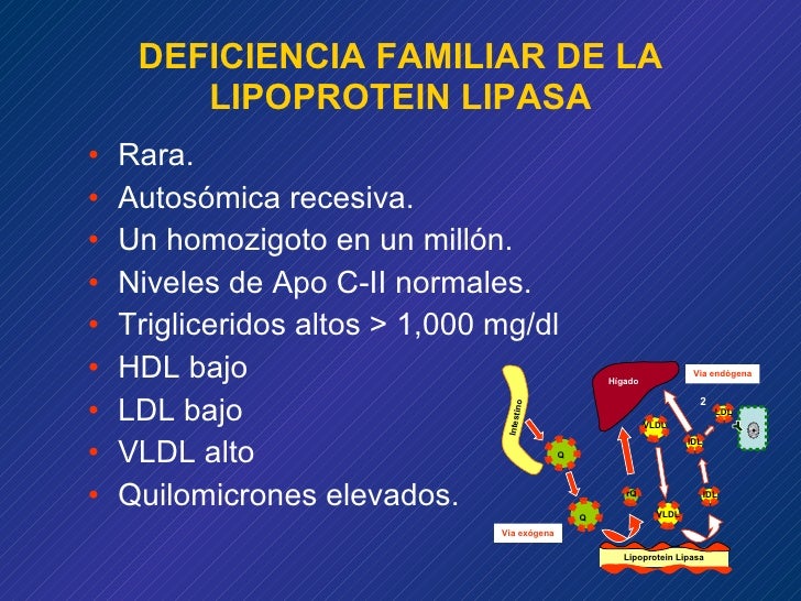 Lipoproteinas Y Disl