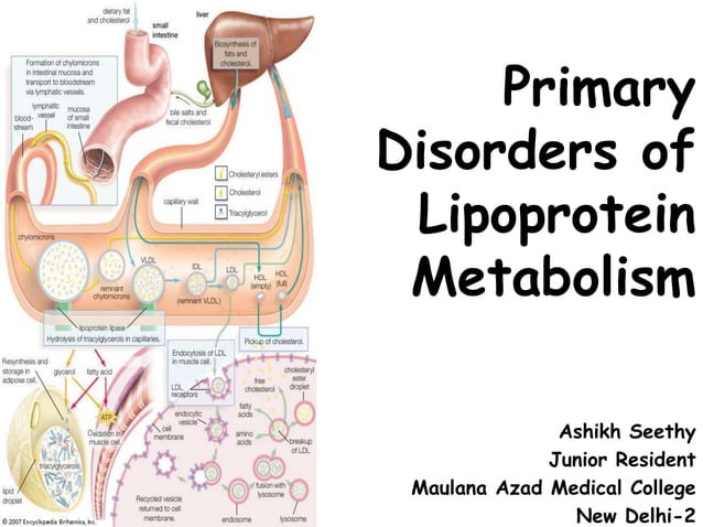 Disorders of Lipoprotein Metabolism | PPTX | Endocrine and Metabolic ...