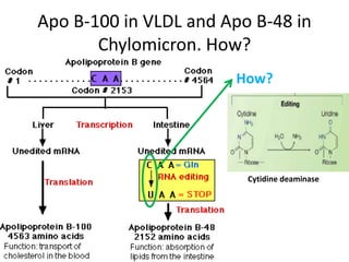 Disorders of Lipoprotein Metabolism | PPTX