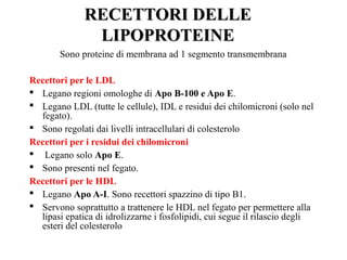 RREECCEETTTTOORRII DDEELLLLEE 
LLIIPPOOPPRROOTTEEIINNEE 
Sono proteine di membrana ad 1 segmento transmembrana 
Recettori per le LDL 
 Legano regioni omologhe di Apo B-100 e Apo E. 
 Legano LDL (tutte le cellule), IDL e residui dei chilomicroni (solo nel 
fegato). 
 Sono regolati dai livelli intracellulari di colesterolo 
Recettori per i residui dei chilomicroni 
 Legano solo Apo E. 
 Sono presenti nel fegato. 
Recettori per le HDL 
 Legano Apo A-I. Sono recettori spazzino di tipo B1. 
 Servono soprattutto a trattenere le HDL nel fegato per permettere alla 
lipasi epatica di idrolizzarne i fosfolipidi, cui segue il rilascio degli 
esteri del colesterolo 
 