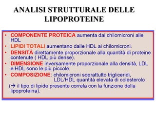 AANNAALLIISSII SSTTRRUUTTTTUURRAALLEE DDEELLLLEE 
LLIIPPOOPPRROOTTEEIINNEE 
 
