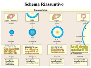 SScchheemmaa RRiiaassssuunnttiivvoo 
 