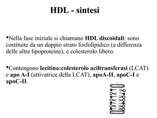 HDL - sintesi


Nella fase iniziale si chiamano HDL discoidali: sono
costituite da un doppio strato fosfolipidico (a differenza
delle altre lipoproteine), e colesterolo libero.

Contengono lecitina:colesterolo aciltransferasi (LCAT)
e apo A-I (attivatrice della LCAT), apoA-II, apoC-I e
apoC-II.
 
