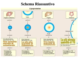 Schema Riassuntivo
 