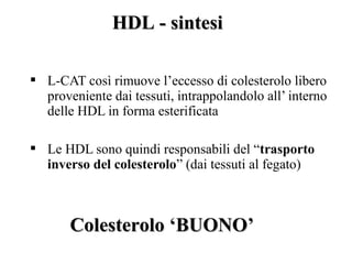 HDL - sintesi

 L-CAT così rimuove l’eccesso di colesterolo libero
  proveniente dai tessuti, intrappolandolo all’ interno
  delle HDL in forma esterificata

 Le HDL sono quindi responsabili del “trasporto
  inverso del colesterolo” (dai tessuti al fegato)



       Colesterolo ‘BUONO’
 