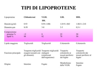 TIPI DI LIPOPROTEINE
Lipoproteine           Chilomicroni           VLDL                     LDL                  HDL
                                              IDL
Densità (g/ml)         0.93                   0.95-1.006               1.019-1.063          1.063-1.210
Diametro µm            8-50                   3-8                      2-3                  0,5-1

Composizione:
  proteine %           <2                     8                        22                   50
  lipidi %             98                     92                       78                   50


Lipide maggiore        Trigliceridi           Trigliceridi             Colesterolo          Colesterolo


                       Trasporto trigliceridi Trasporto trigliceridi   Trasporto            Trasporto
Funzione principale    esogeni (assunti con endogeni                   colesterolo ai       colesterolo dai
                       gli alimenti)          (sintetizzati            tessuti periferici   tessuti periferici al
                                              dall'organismo)          dal fegato           fegato

                                                                       Metabolismo          Intestino
Origine                Intestino              Fegato
                                                                       delle VLDL           Fegato
 