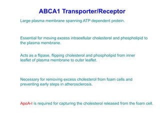 ABCA1 Transporter/Receptor
Large plasma membrane spanning ATP dependent protein.



Essential for moving excess intracellular cholesterol and phospholipid to
the plasma membrane.


Acts as a flipase, flipping cholesterol and phospholipid from inner
leaflet of plasma membrane to outer leaflet.



Necessary for removing excess cholesterol from foam cells and
preventing early steps in atherosclerosis.



ApoA-I is required for capturing the cholesterol released from the foam cell.
 