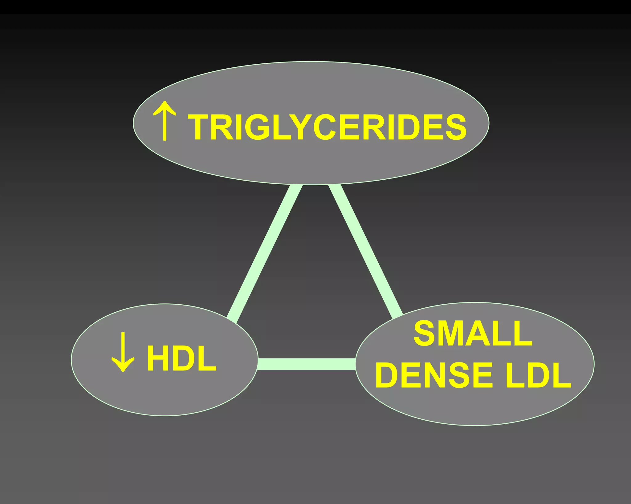  TRIGLYCERIDES
 HDL
SMALL
DENSE LDL
 