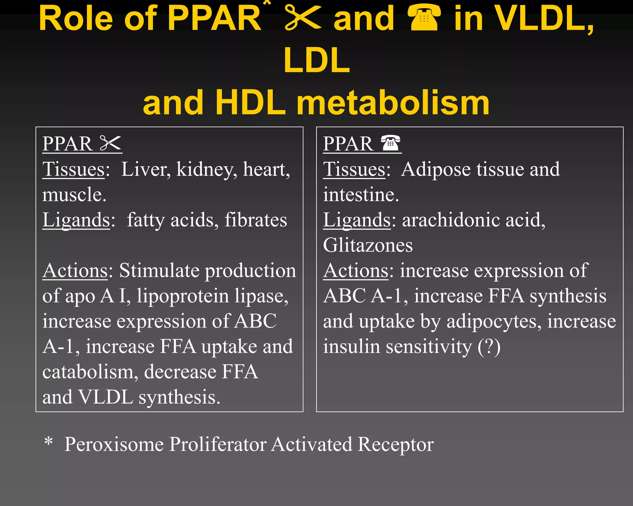 Role of PPAR*  and  in VLDL,
LDL
and HDL metabolism
* Peroxisome Proliferator Activated Receptor
PPAR 
Tissues: Liver, kidney, heart,
muscle.
Ligands: fatty acids, fibrates
Actions: Stimulate production
of apo A I, lipoprotein lipase,
increase expression of ABC
A-1, increase FFA uptake and
catabolism, decrease FFA
and VLDL synthesis.
PPAR 
Tissues: Adipose tissue and
intestine.
Ligands: arachidonic acid,
Glitazones
Actions: increase expression of
ABC A-1, increase FFA synthesis
and uptake by adipocytes, increase
insulin sensitivity (?)
 