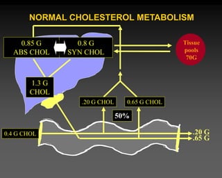 NORMAL CHOLESTEROL METABOLISM
Tissue
pools
70G
0.8 G
SYN CHOL
.65 G
.20 G
0.85 G
ABS CHOL
50%
0.4 G CHOL
1.3 G
CHOL
.20 G CHOL 0.65 G CHOL
 