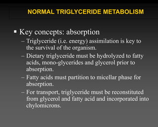  Key concepts: absorption
– Triglyceride (i.e. energy) assimilation is key to
the survival of the organism.
– Dietary triglyceride must be hydrolyzed to fatty
acids, mono-glycerides and glycerol prior to
absorption.
– Fatty acids must partition to micellar phase for
absorption.
– For transport, triglyceride must be reconstituted
from glycerol and fatty acid and incorporated into
chylomicrons.
NORMAL TRIGLYCERIDE METABOLISM
 