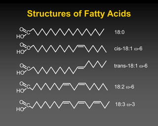 Structures of Fatty Acids
C
HO
O
C
HO
O
C
HO
O
C
HO
O
C
HO
O
18:0
cis-18:1 -6
trans-18:1 -6
18:2 -6
18:3 -3
 