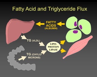 FATTY
ACIDS
(ALBUMIN)
TG (VLDL)
TG (CHYLO-
MICRONS)
LIPO-
PROTEIN
LIPASE
Fatty Acid and Triglyceride Flux
 