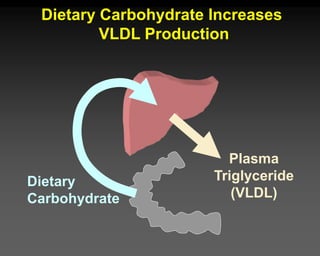 Plasma
Triglyceride
(VLDL)
Dietary Carbohydrate Increases
VLDL Production
Dietary
Carbohydrate
 
