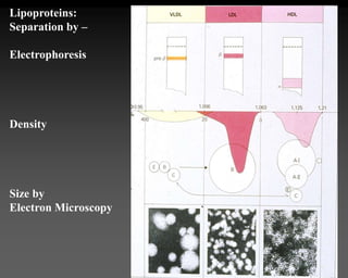 Lipoproteins:
Separation by –
Electrophoresis
Density
Size by
Electron Microscopy
 
