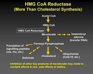 HMG CoA Reductase
(More Than Cholesterol Synthesis)
Acetyl CoA
HMG CoA
Mevalonate
Farnesyl Pyrophosphate
Cholesterol
HMG CoA Reductase
Isopentenyl
adenine
(transfer RNA)
Prenylation of
signalling peptides
(ras, rho, etc.)
Ubiquinones
(CoQ-10, etc.)
Dolichols
Inhibition of other key products of mevalonate may relate to
nonlipid effects & rare side effects of statins.
 