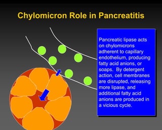 Chylomicron Role in Pancreatitis
Pancreatic lipase acts
on chylomicrons
adherent to capillary
endothelium, producing
fatty acid anions, or
soaps. By detergent
action, cell membranes
are disrupted, releasing
more lipase, and
additional fatty acid
anions are produced in
a vicious cycle.
 